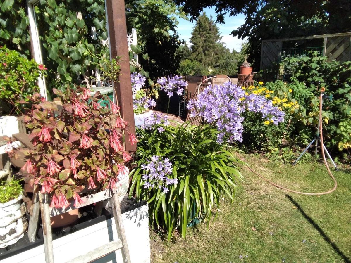 Gartenhaus Appartement