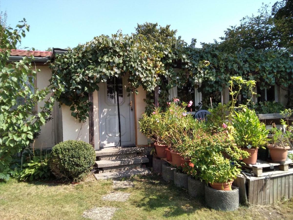 Appartement Gartenhaus